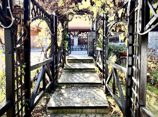 Ametyst شكلارسكا بوريبا