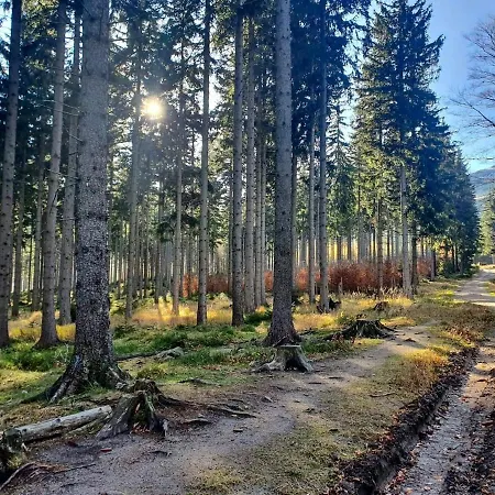 Ametyst Sklářská Poruba