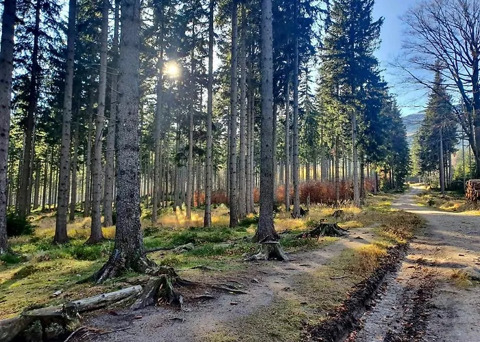 Ametyst Szklarska Poreba